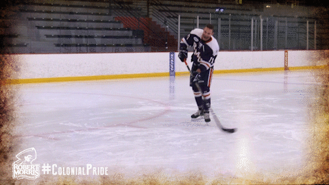 happy ice hockey GIF by Robert Morris University Athletics