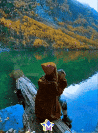 Playa Pensando GIF by Murcianys LLC