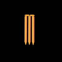 Game Night Cricket GIF by Parle Products