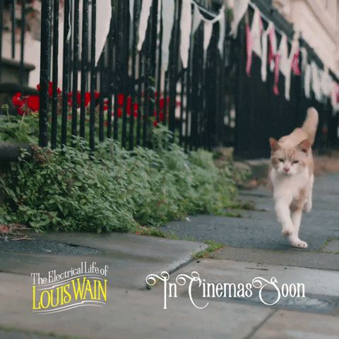 Cat Movie GIF by STUDIOCANAL