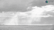 GIF by Rally da Safra