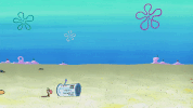 season 10 episode 3 GIF by SpongeBob SquarePants