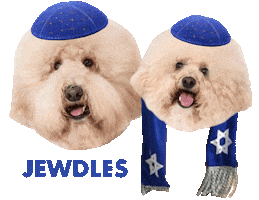 Dog Star Sticker