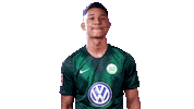 Felix Uduokhai Football Sticker by VfL Wolfsburg