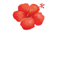 Summer Beach Sticker by Travel & Treasures