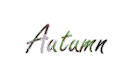 Fall Autumn Sticker