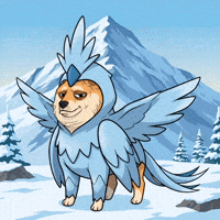 Shiba Inu Dog GIF by Doge Pound