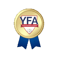 Yfa Sticker by Youth Floorball Academy