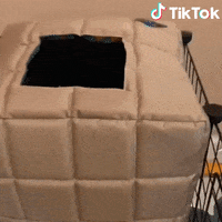 Sorpresa Ciao GIF by TikTok Italia