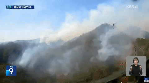 qwerpoiu22ppop giphyupload GIF