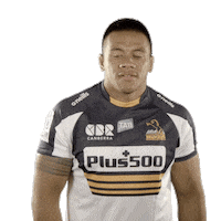 Rugby Union Allan Sticker by BrumbiesRugby