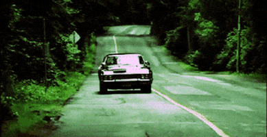impala GIF