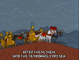 episode 18 principle skinner GIF