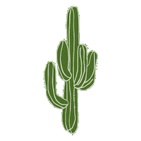 Desert Cactus Sticker by Spell & The Gypsy Collective