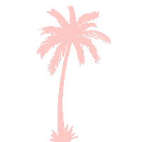 Seashell Sticker by Spell & The Gypsy Collective