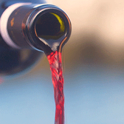 stackfilm giphyupload film wine cinemagraph GIF