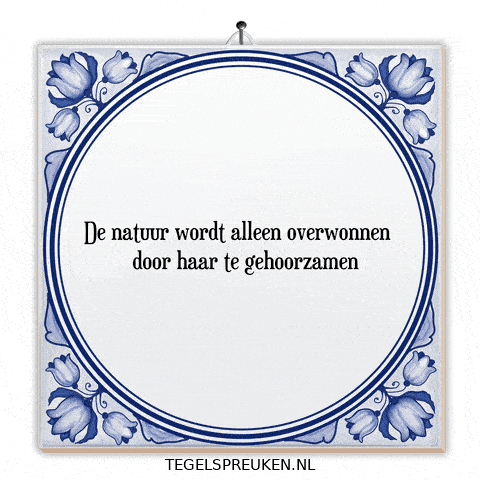 Respect Wonder GIF by Tegelspreuken.nl