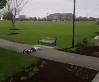Man Laying GIF