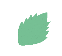 Menthe Boucles Sticker by La Belle Boucle