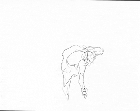 moving real-time GIF by Alex Boya