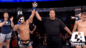 mixed martial arts fighting GIF by CombateAmericas