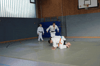 redtigerclub judo martials arts o-goshi parent and child judo GIF
