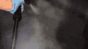 Interiorwash GIF by Eighty8 Customs