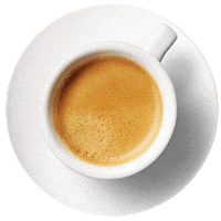 Espresso Coffee Cup Sticker by Don Francisco's Coffee