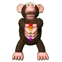 Gay Pride Rainbow Sticker