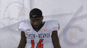 Carson Newman Football GIF by Carson-Newman Athletics