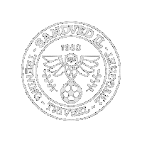 Fotball Sticker by SandvedIL