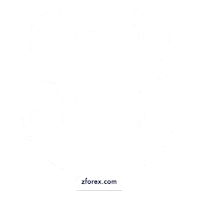 zforexglobal forex broker trader investor Sticker