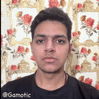 Gamotic ok brother comeback baddie GIF