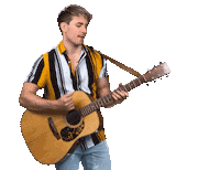 zansercic music guitar giflooper sercic Sticker