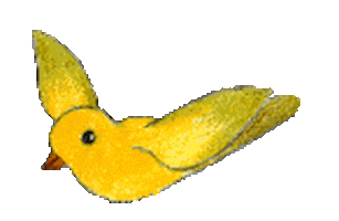 birds STICKER