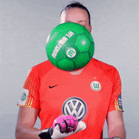 almuth schult football GIF by VfL Wolfsburg