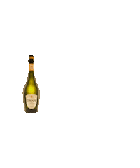 Sidra_1888 sidra sidra1888 elegiloquetegusta modo1888 Sticker