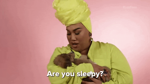Sleepy Dog GIF by BuzzFeed