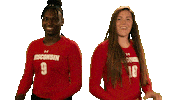 Wisconsin Volleyball Sport Sticker by Wisconsin Badgers