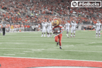 Ncaa Sports GIF by Ohio State Athletics