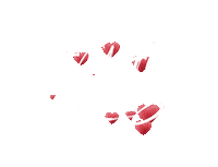 Valentines Day Love Sticker by Gabi DeMartino