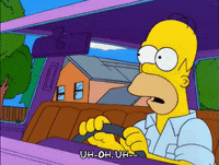 homer simpson wildlife GIF