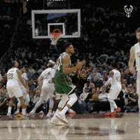 Basketball Nba GIF by Milwaukee Bucks