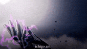 Ichigo Kurosaki Bleach GIF