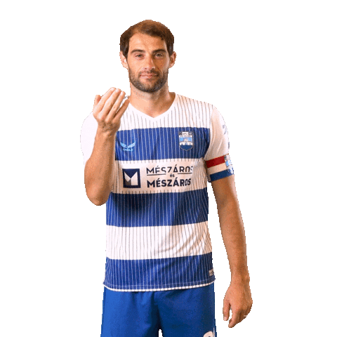 Mile Skoric Football Sticker by NK Osijek