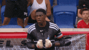 Happy New York GIF by NYCFC