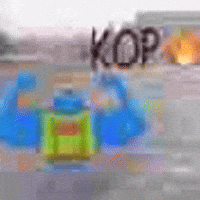 Brrd GIF