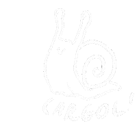 Snail Caracol Sticker