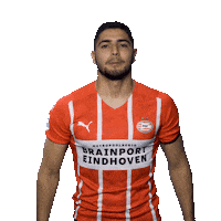 Football Celebrate Sticker by PSV