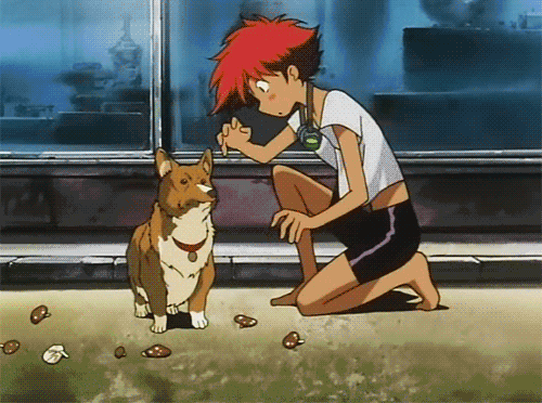 cowboy bebop dog GIF